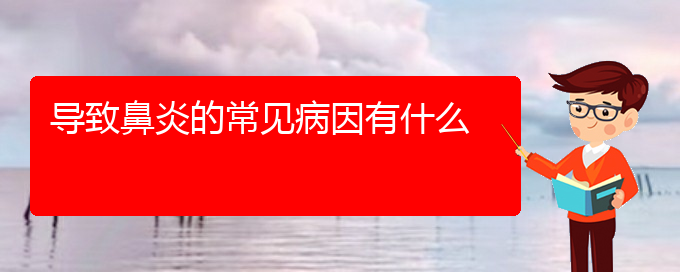 (貴陽(yáng)怎么治鼻炎)導(dǎo)致鼻炎的常見(jiàn)病因有什么(圖1)