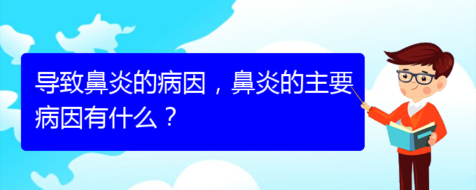 (貴陽(yáng)過(guò)敏性鼻炎怎么治療好)導(dǎo)致鼻炎的病因，鼻炎的主要病因有什么？(圖1)