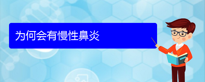 (貴陽看慢性鼻炎能報(bào)銷嗎)為何會(huì)有慢性鼻炎(圖1)