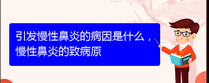 (貴陽中醫(yī)可以看慢性鼻炎嗎)引發(fā)慢性鼻炎的病因是什么，慢性鼻炎的致病原(圖1)