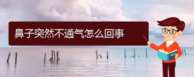 (貴陽(yáng)慢性鼻炎看中醫(yī)還是西醫(yī))鼻子突然不通氣怎么回事(圖1)