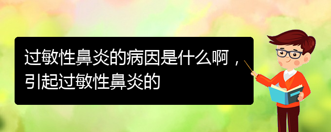 (貴州什么醫(yī)院治療過敏性鼻炎)過敏性鼻炎的病因是什么啊，引起過敏性鼻炎的(圖1)