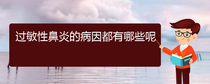 (貴陽哪個(gè)醫(yī)院治過敏性鼻炎好)過敏性鼻炎的病因都有哪些呢(圖1)