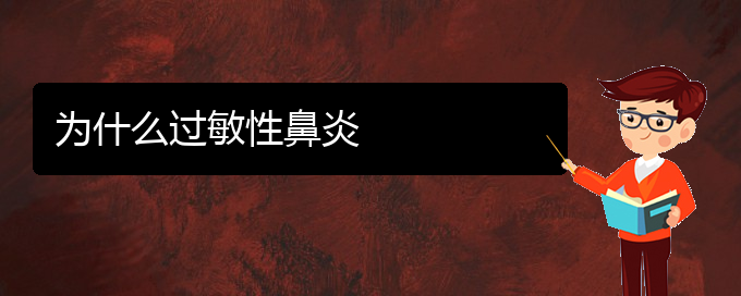 (貴州治過敏性鼻炎?？漆t(yī)院)為什么過敏性鼻炎(圖1)