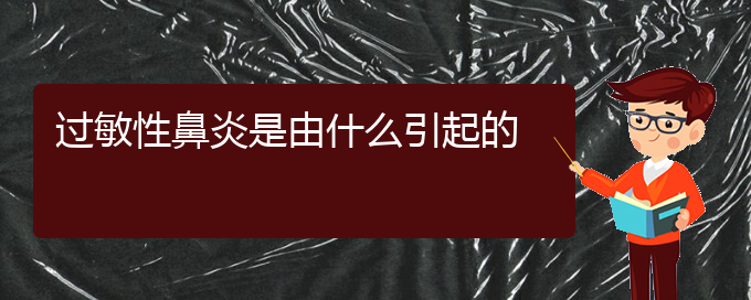 (貴陽(yáng)治過(guò)敏性鼻炎到哪個(gè)醫(yī)院)過(guò)敏性鼻炎是由什么引起的(圖1)