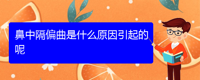 (貴陽專治鼻中隔偏曲醫(yī)院)鼻中隔偏曲是什么原因引起的呢(圖1)