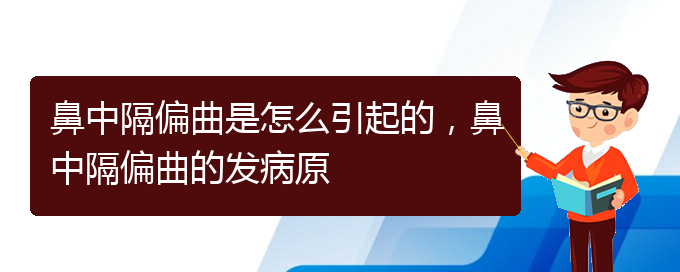 (貴陽一般看鼻中隔偏曲多少錢)鼻中隔偏曲是怎么引起的，鼻中隔偏曲的發(fā)病原(圖1)