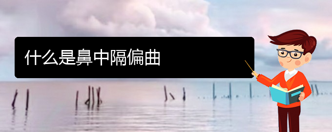 (貴陽鼻中隔偏曲治療哪個(gè)醫(yī)院好)什么是鼻中隔偏曲(圖1)