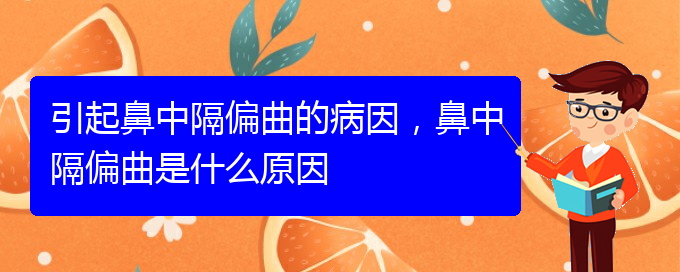 (貴陽比較好的治療鼻中隔偏曲的醫(yī)院)引起鼻中隔偏曲的病因，鼻中隔偏曲是什么原因(圖1)