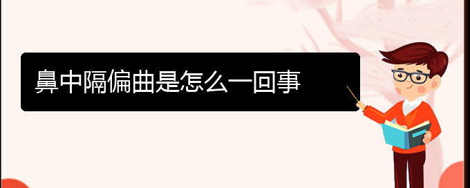 (貴陽治療鼻中隔偏曲哪家醫(yī)院比較好)鼻中隔偏曲是怎么一回事(圖1)