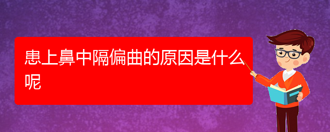 (貴陽(yáng)治療鼻中隔偏曲去哪家醫(yī)院好)患上鼻中隔偏曲的原因是什么呢(圖1)