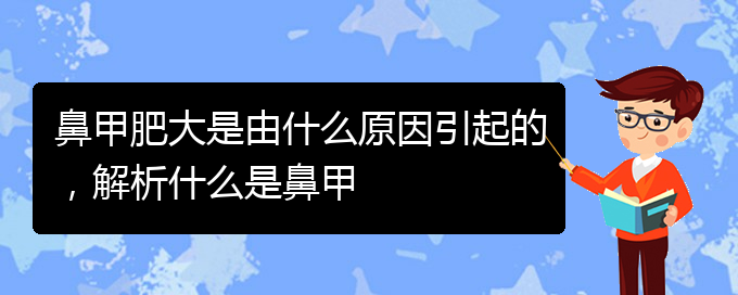 (貴陽鼻甲肥大如何治療)鼻甲肥大是由什么原因引起的，解析什么是鼻甲(圖1)