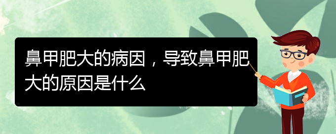 (貴陽(yáng)治療鼻甲肥大正規(guī)的醫(yī)院)鼻甲肥大的病因，導(dǎo)致鼻甲肥大的原因是什么(圖1)