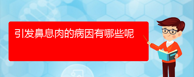 (貴陽(yáng)治療鼻息肉好的醫(yī)院是哪家)引發(fā)鼻息肉的病因有哪些呢(圖1)