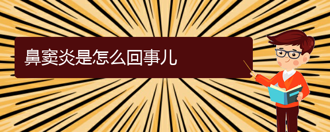 (貴陽哪家醫(yī)院治療鼻竇炎好些)鼻竇炎是怎么回事兒(圖1)