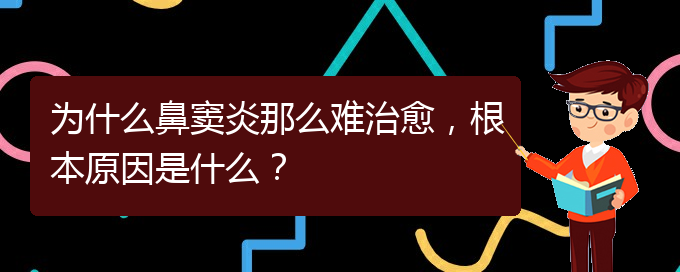 (貴陽治療鼻竇炎要多少費(fèi)用)為什么鼻竇炎那么難治愈，根本原因是什么？(圖1)