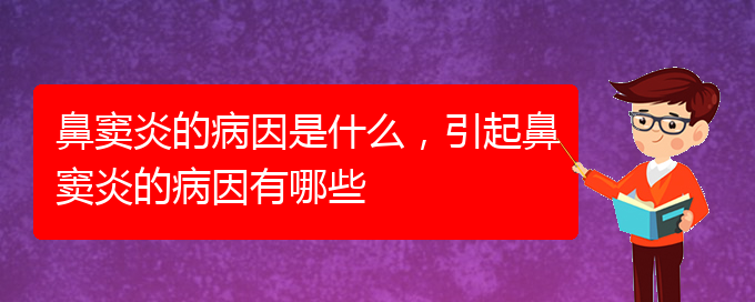 (治鼻竇炎貴陽哪家醫(yī)院好)鼻竇炎的病因是什么，引起鼻竇炎的病因有哪些(圖1)