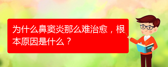 (貴陽(yáng)治療鼻竇炎要多少費(fèi)用)為什么鼻竇炎那么難治愈，根本原因是什么？(圖1)