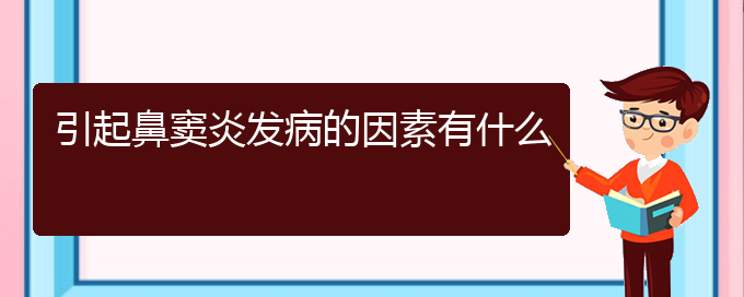 (貴陽(yáng)鼻竇炎哪個(gè)醫(yī)院治療的好)引起鼻竇炎發(fā)病的因素有什么(圖1)