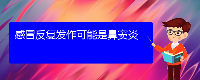 (貴陽(yáng)治療鼻竇炎能夠徹底的地方)感冒反復(fù)發(fā)作可能是鼻竇炎(圖1)