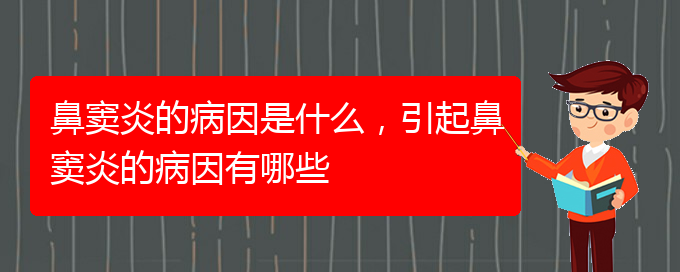 (治鼻竇炎貴陽哪家醫(yī)院好)鼻竇炎的病因是什么，引起鼻竇炎的病因有哪些(圖1)