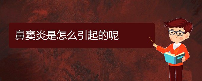 (貴陽治療鼻竇炎價格是多少)鼻竇炎是怎么引起的呢(圖1)