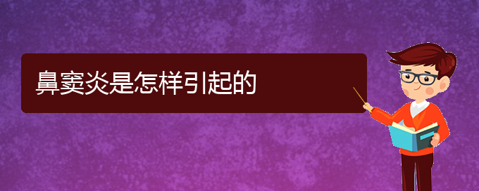 (貴陽附近那個(gè)醫(yī)院看鼻竇炎好)鼻竇炎是怎樣引起的(圖1)