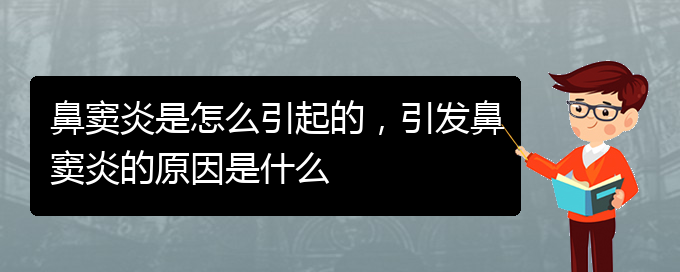 (鼻竇炎治療醫(yī)院貴陽(yáng))鼻竇炎是怎么引起的，引發(fā)鼻竇炎的原因是什么(圖1)