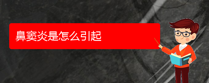 (看鼻竇炎貴陽權(quán)威的醫(yī)生)鼻竇炎是怎么引起(圖1)