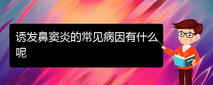 (貴陽(yáng)哪里治療鼻竇炎比較好)誘發(fā)鼻竇炎的常見病因有什么呢(圖1)