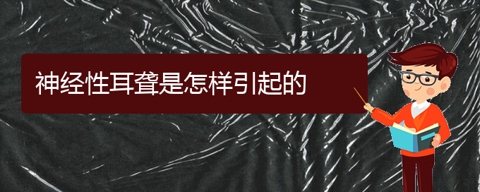 (貴陽耳科醫(yī)院掛號)神經(jīng)性耳聾是怎樣引起的(圖1)