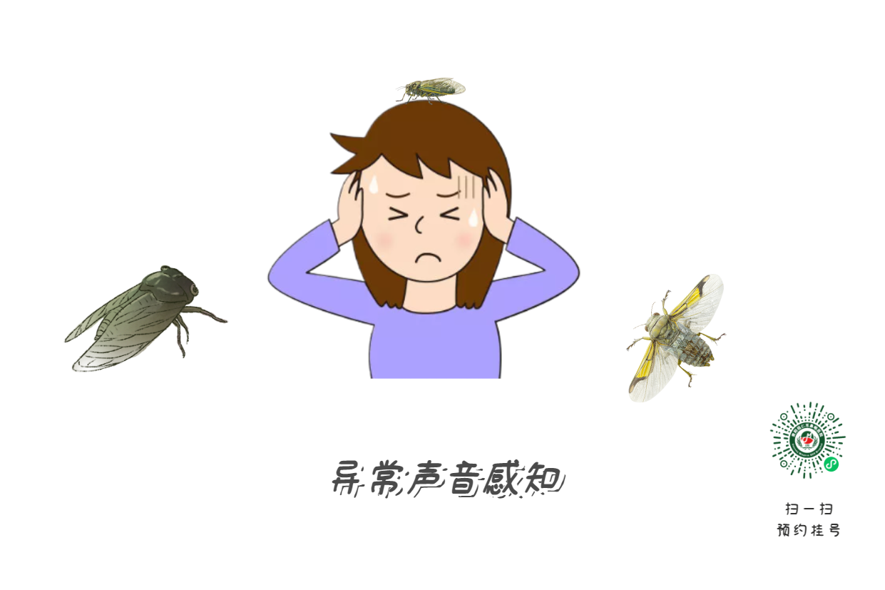 神經(jīng)性耳聾有哪些病癥？如何治療及預(yù)防耳聾？(圖1)