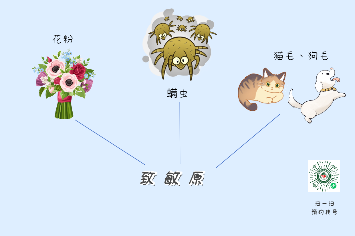 為什么一到春冬換季，過(guò)敏性鼻炎就會(huì)加重？(圖3)